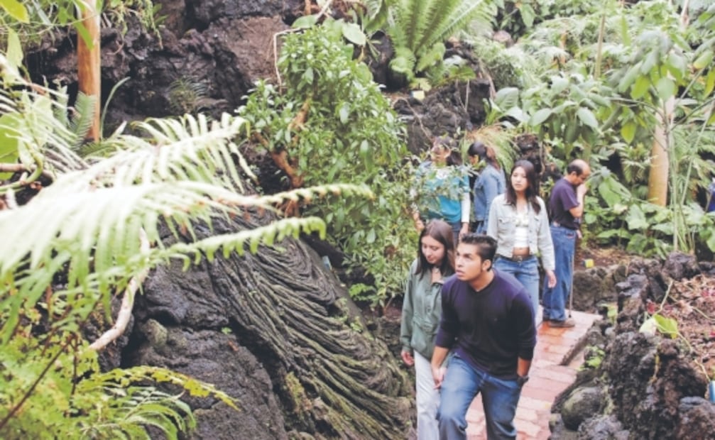 5 jardines botánicos en México para visitar esta primavera