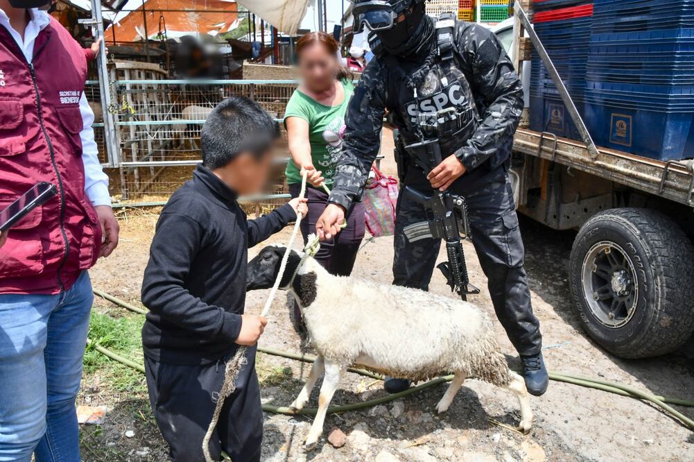 Aves de corral, borregos, carne, pollo, longaniza y alimento para animales que fueron incautados en el marco de la  Operación Liberación, han sido distribuidos con fines de asistencia social a través de la Secretaría del Bienestar del Gobierno del Estado de México. (Foto: especial)