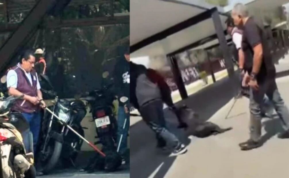Capturas de pantalla del video en donde se observa el maltrato animal (11/03/2025). Foto: Especial
