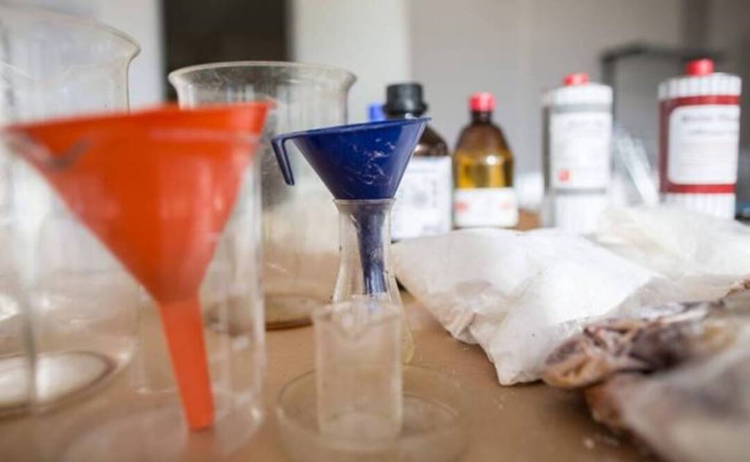 (Photo: Archive/EFE) 