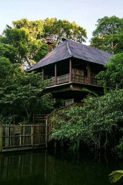 Selección de la editora: 5 paraísos de vida silvestre en México que otros países envidiarían