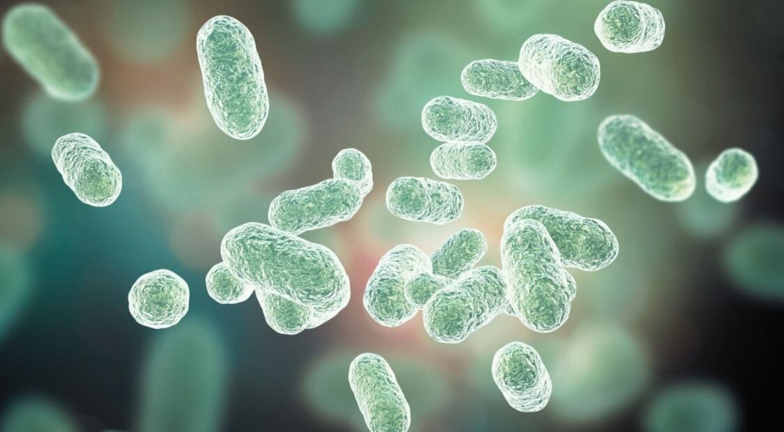 Este día se busca divulgar la información sobre la importancia de los microorganismos