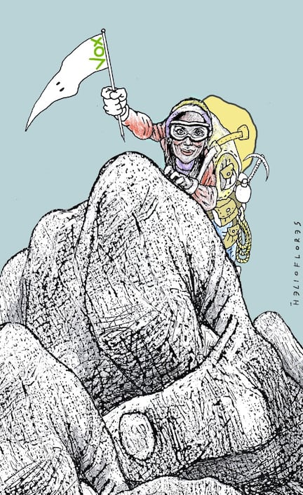 Cartón de HELIOFLORES