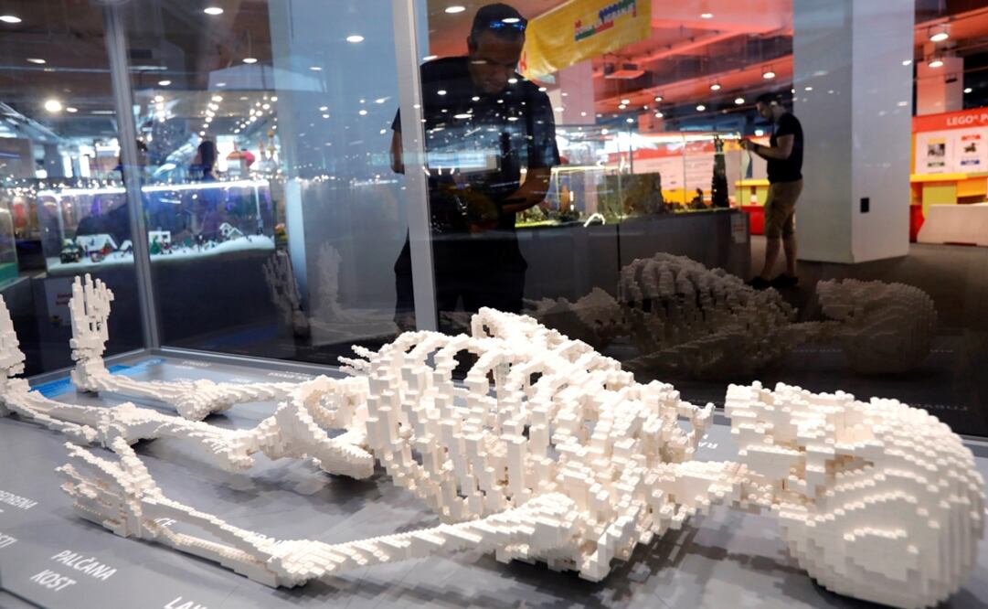 Foto: EFE/ Antonio Bat