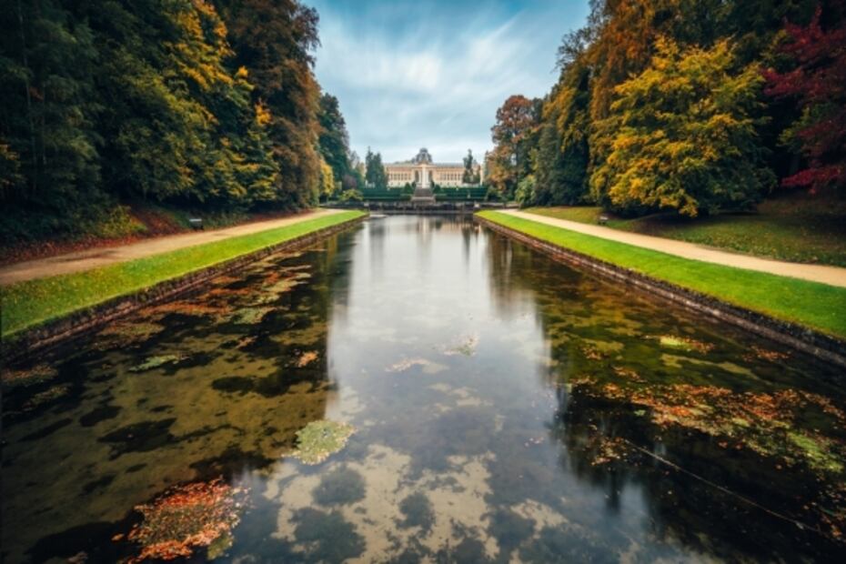 Bruselas: lugares para visitar en la ciudad con tradición cervecera
