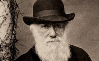 “Un nivel de degradación mayor que el de cualquier animal indefenso": el horror de Charles Darwin ante la esclavitud en Brasil y cómo marcó sus teorías