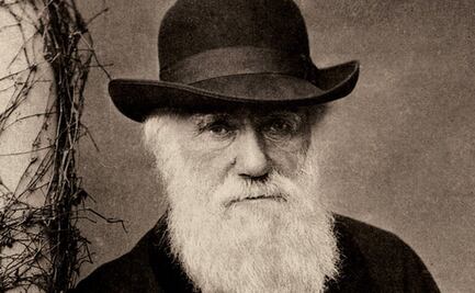 “Un nivel de degradación mayor que el de cualquier animal indefenso": el horror de Charles Darwin ante la esclavitud en Brasil y cómo marcó sus teorías