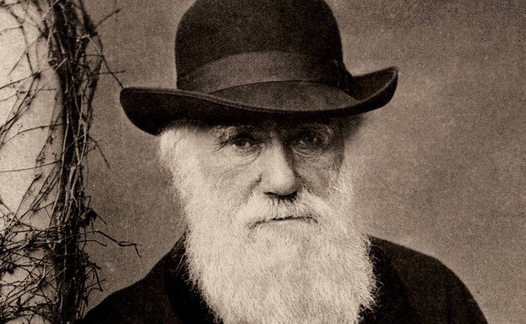 Darwin quedó muy impresionado con el trato de los brasileños blancos hacia sus esclavos negros durante sus cuatro meses en Brasil. Foto: BBC