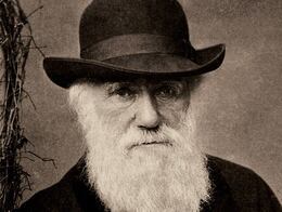 “Un nivel de degradación mayor que el de cualquier animal indefenso": el horror de Charles Darwin ante la esclavitud en Brasil y cómo marcó sus teorías