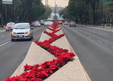 Concierto de Rubén Blades: Estos son los cortes viales en Paseo de la Reforma