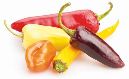 Molecule found in chili could cure obesity