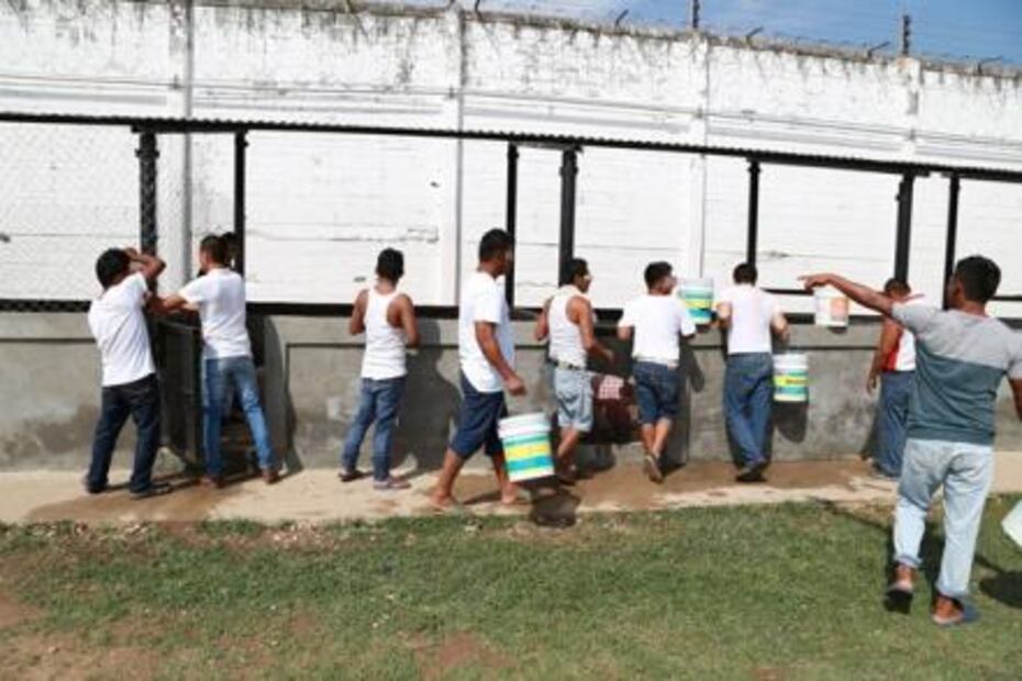 Reos de Tabasco buscan sustento con crianza de cerdos