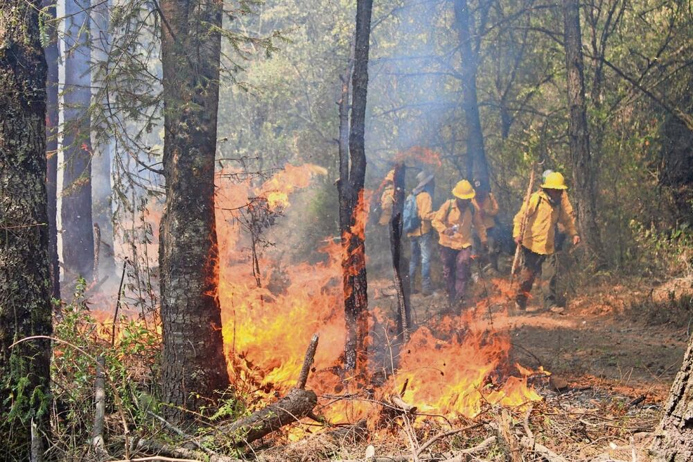 Hasta ayer se mantenía 50% de control y 30% de liquidación del incendio forestal de Lechuguillas. Foto: Especial