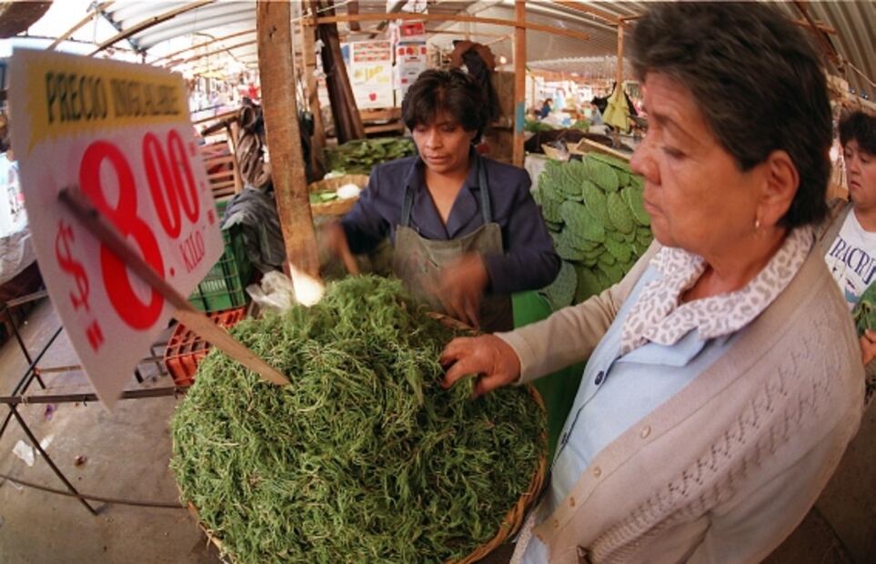 Al rescate del quelite en Semana Santa