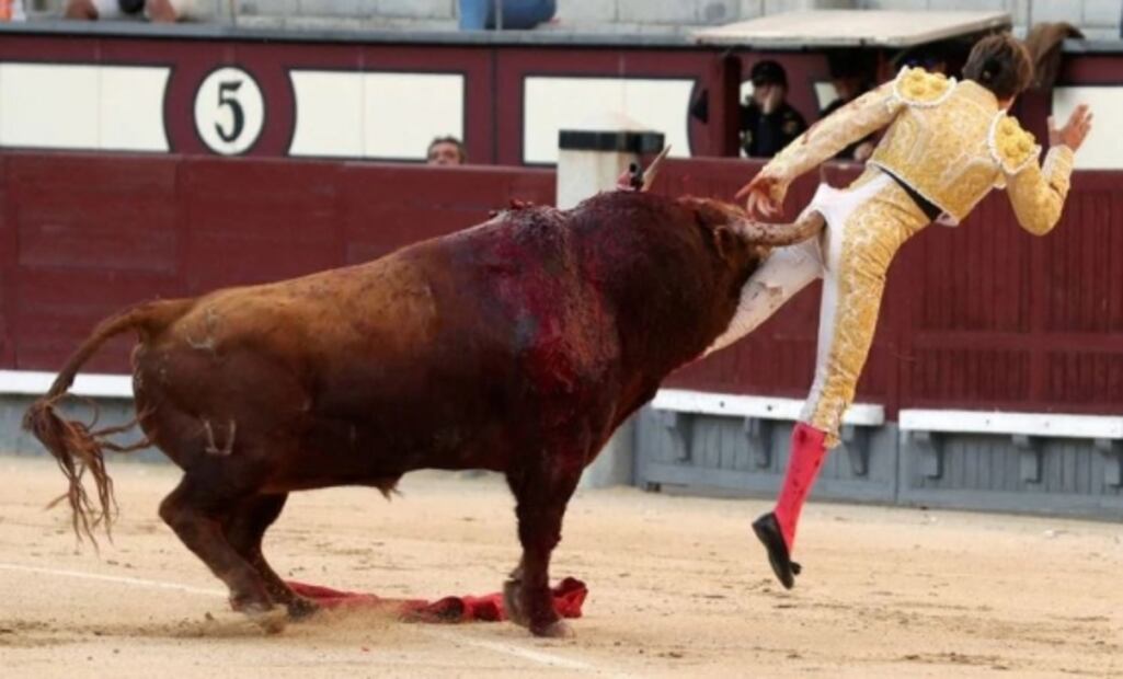 Las peores cornadas en Las Ventas
