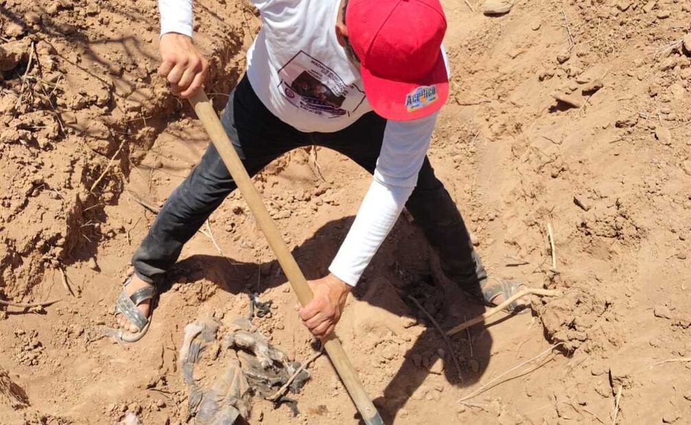 Madres Buscadoras de Sonora realizan labores de búsqueda en la zona (12/07/2025). Foto: Captura de pantalla
