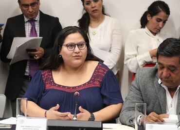 Senadores de Morena condenan expresiones discriminatorias de Salinas Pliego contra Citlalli Hernández