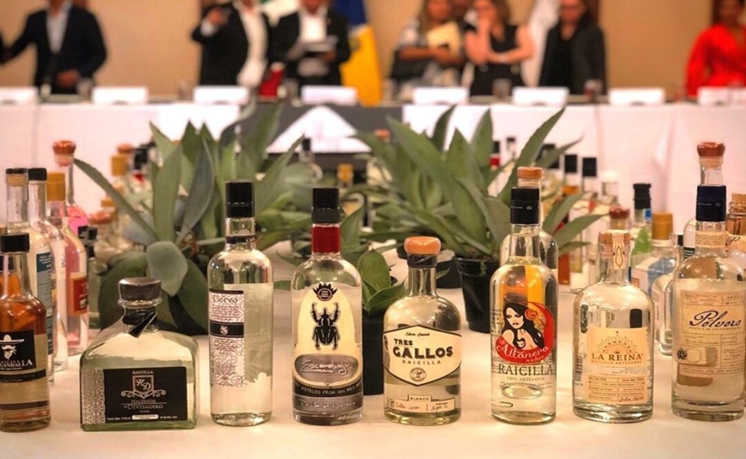 Different kinds of raicilla, a distillate of agave – Photo: EFE/IMPI