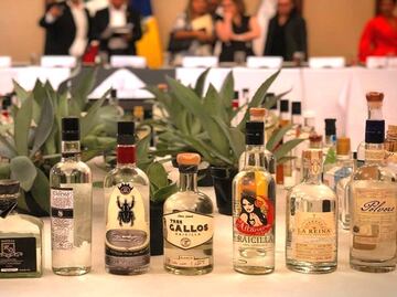 Raicilla obtains designation of origin