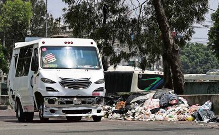 La batalla diaria contra chincheros en Naucalpan