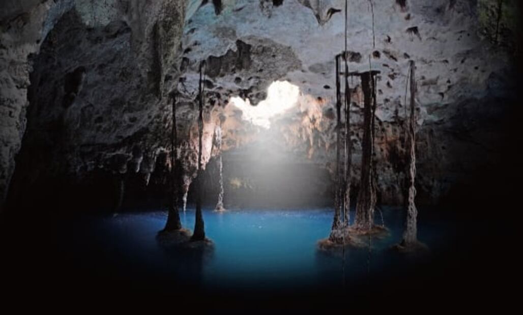 Tren Maya: ¿Qué es un cenote y cuál es su importancia en México?