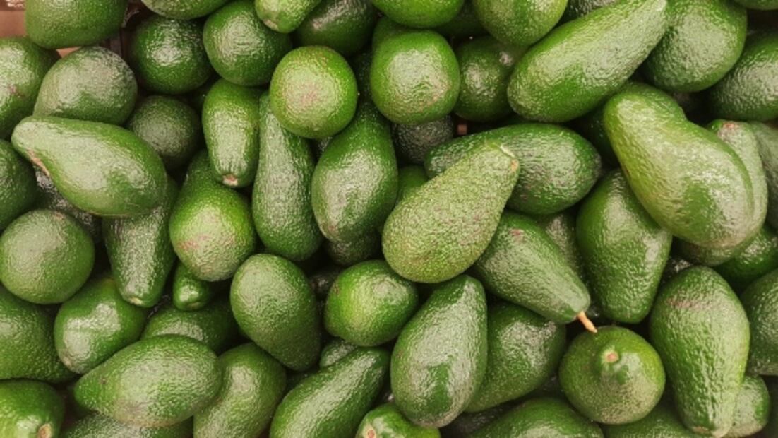 Recetas para aprovechar los beneficios del aguacate