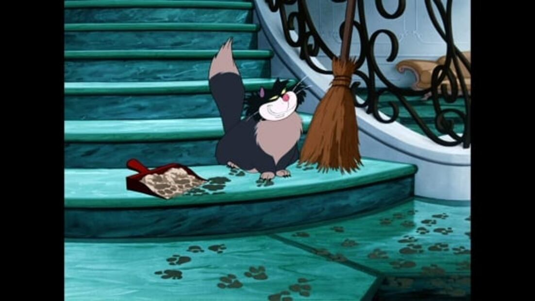 En este Día internacional del gato, maúllan en televisión y cine 