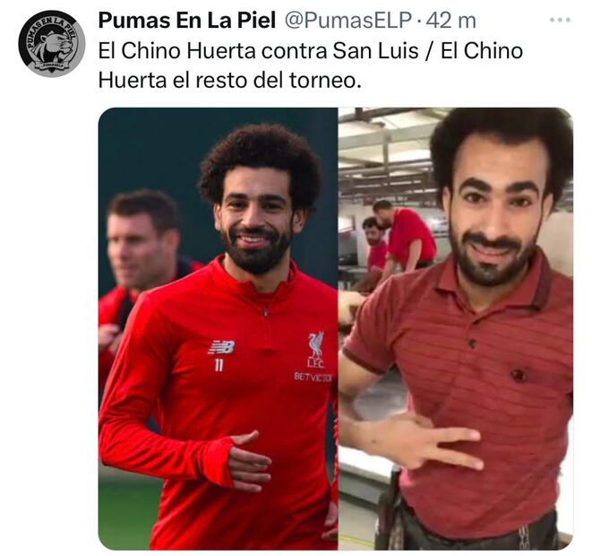 Memes Pumas
