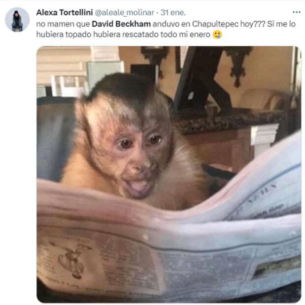 David Beckham es víctima de los memes por su visita a la CDMX