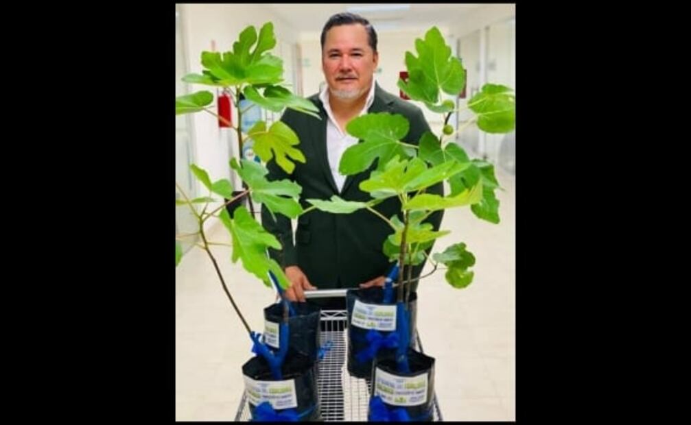 Plantar un árbol, nuevo requisito para obtener título profesional en Tamaulipas