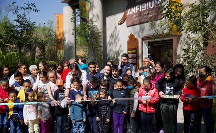 Para conservar al ajolote, Sheinbaum inaugura "Anfibium" en Chapultepec