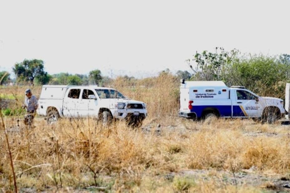 Hallan calcinadas a cinco de las seis mujeres desaparecidas en Celaya, Guanajuato  