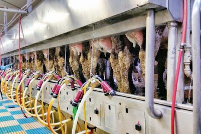 Con engaños se llevan a universitarios a EU, acusan