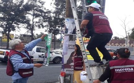Candidata del Partido Verde denuncia retiro de propaganda por trabajadores de Morena