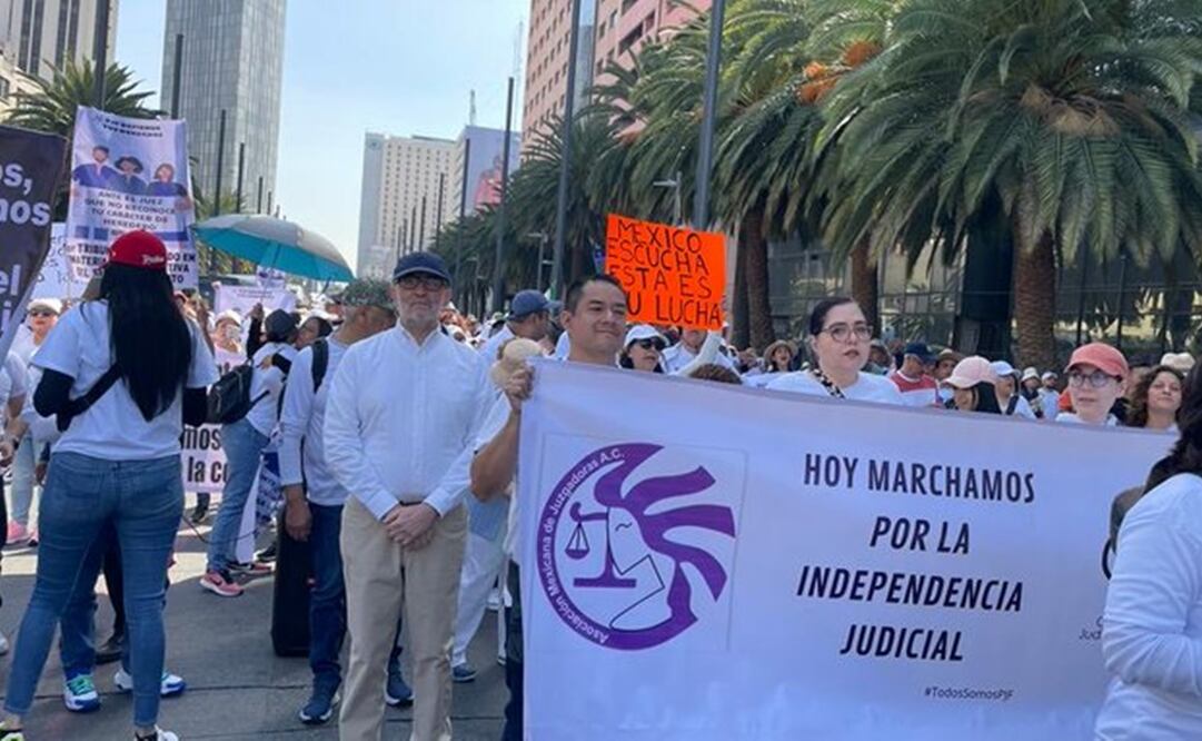 José Ramón Cossío en la Marcha en defensa de los derechos laborales del Poder Judicial. Foto: X @JRCossio