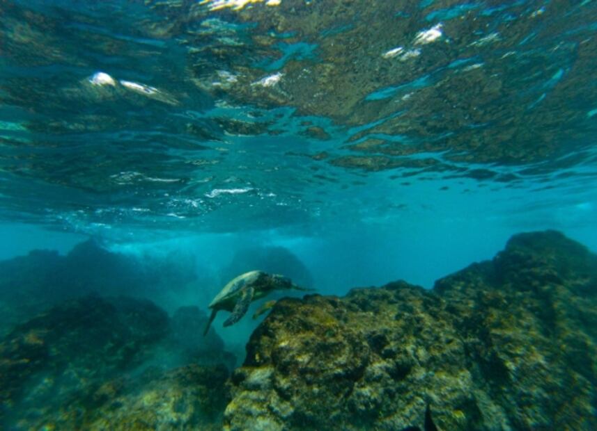 Qué hacer en Playa Estacahuite: tesoro secreto de Oaxaca