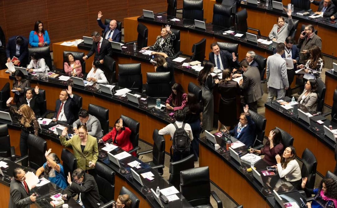 Aspectos de la sesión de la Cámara de Senadores de este miércoles 10 de diciembre de 2025. Foto: Hugo Salvador/ EL UNIVERSAL