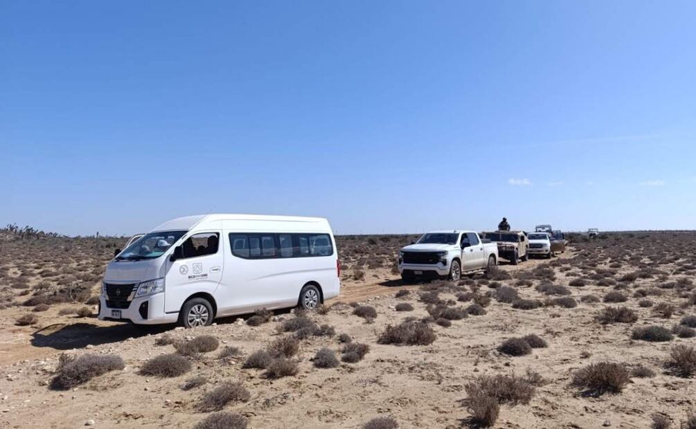El último mes se han localizado 17 fosas clandestinas en Baja California Sur (05/03/2025). Foto: Especial