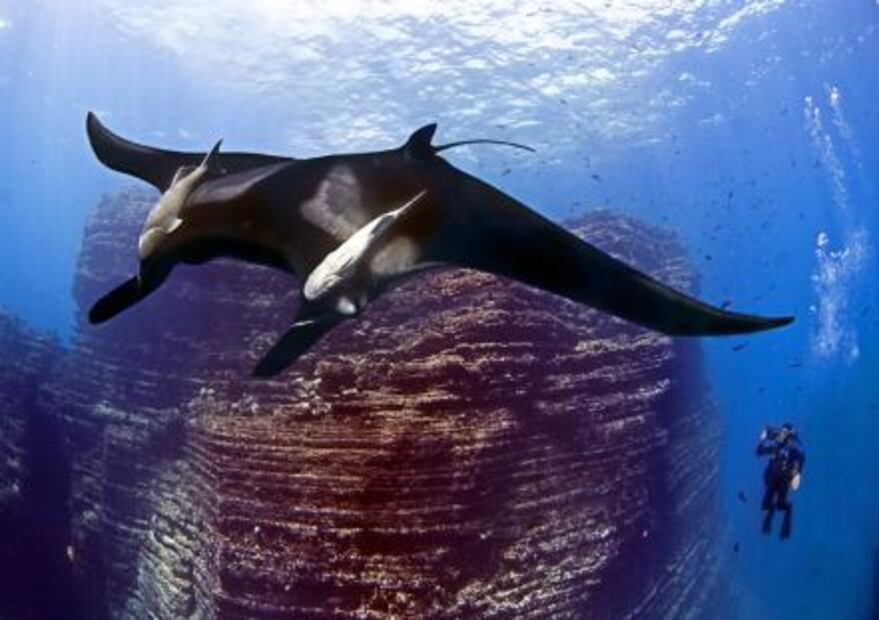 5 de las mejores islas de México