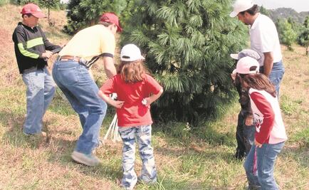 ¿En qué gastamos los mexicanos en Navidad?