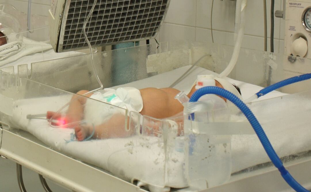 Foto: Archivo / EL UNIVERSAL