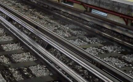 Rescate de gatito detiene marcha de trenes en la Línea 3 del Metro CDMX