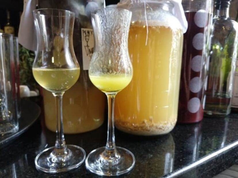 Maizal, un santuario gastronómico para el reino fungi