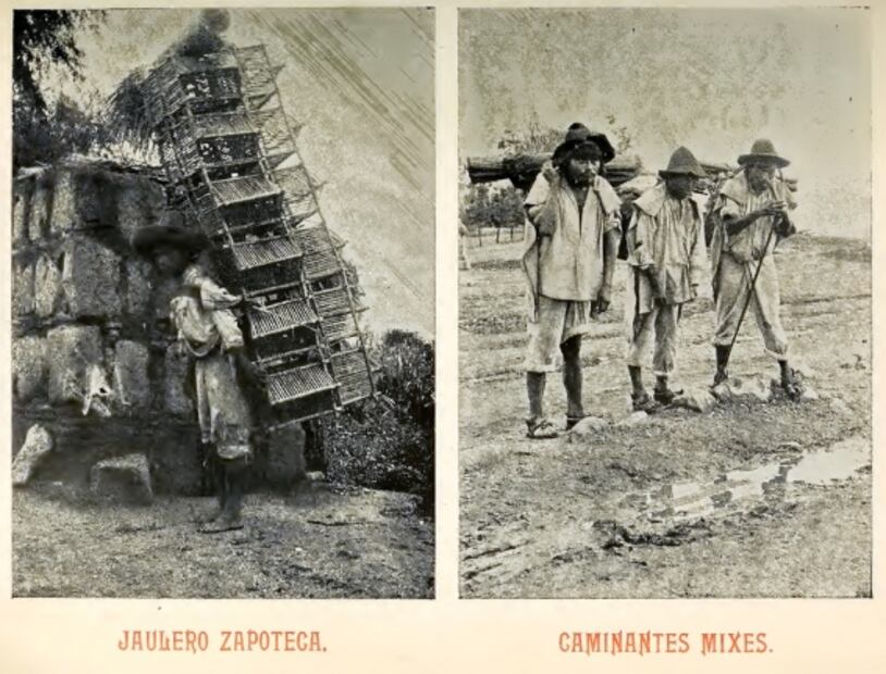 Lo que aprendimos de la Influenza Española 