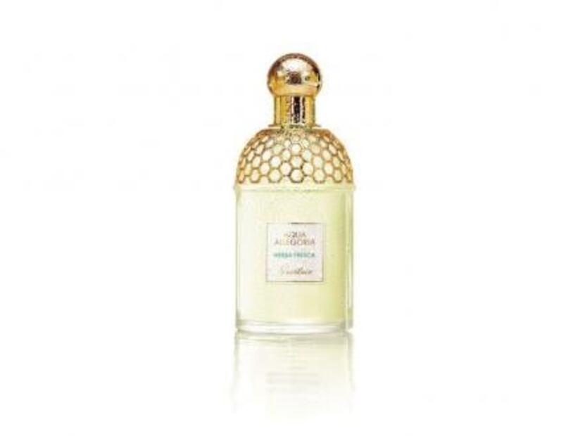 ¿Te marean los perfumes? Conoce las mejores alternativas con olor delicado