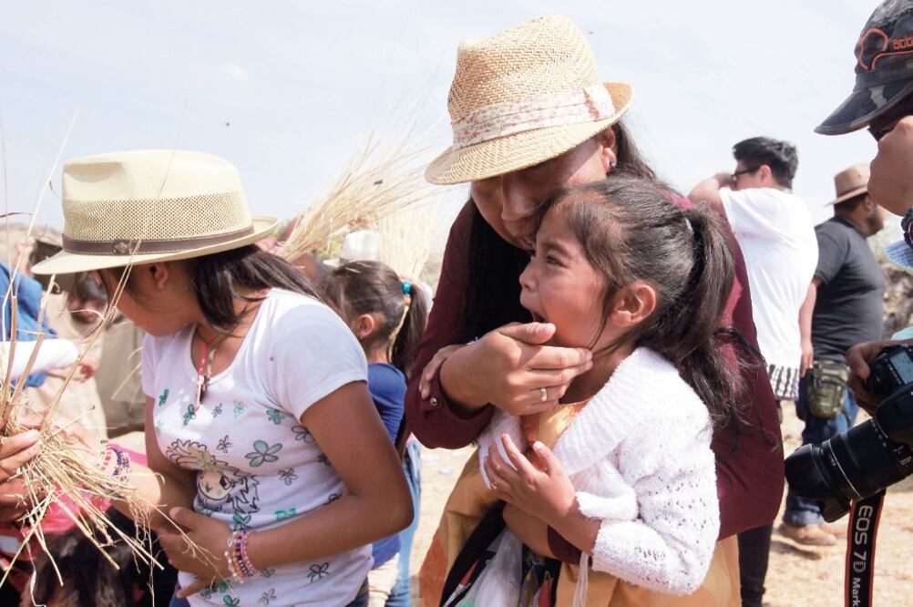 Seguridad. Al menos 44 personas resultaron afectadas por los insectos, por lo que Protección Civil las auxilió. (CÉSAR GÓMEZ. EL UNIVERSAL)