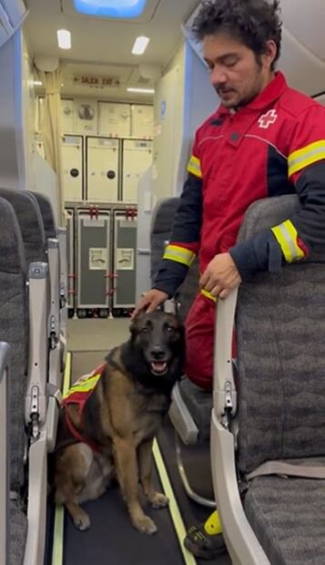 VIDEO: Orly, perrito rescatista mexicano, localiza a víctima entre los escombros tras terremoto en Turquía