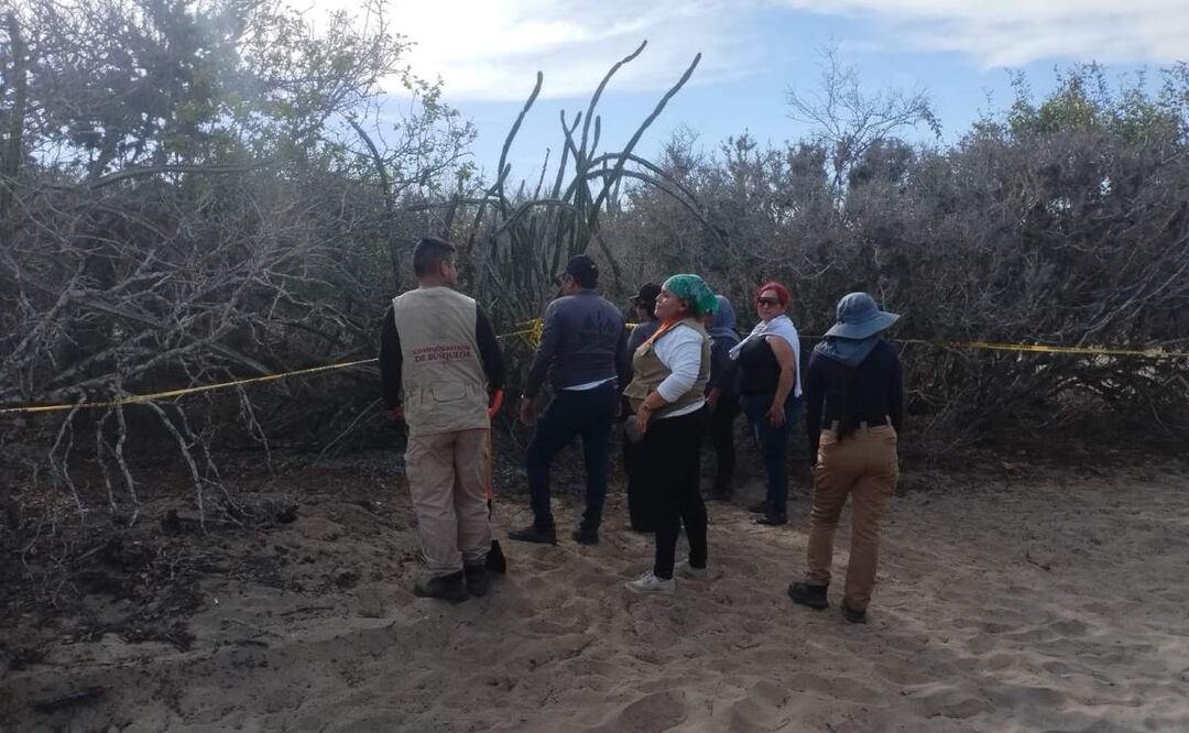 En uno de los casos, un colectivo de búsqueda encontró una especie de fosa clandestina con una osamenta en Sinaloa (16/05/2025). Foto: Cortesía