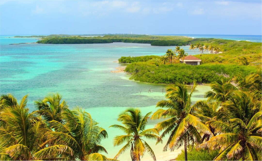 Isla Contoy se encuentra a 30 kilómetros de Isla Mujeres. Foto: iStock