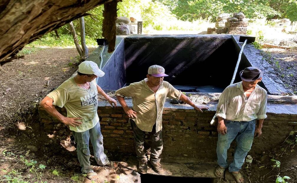 Los productores no sólo preparan la mezcla del pigmento: su trabajo empieza con sembrar jiquilite bajo el sol del mes de mayo, antes de la temporada de lluvias. El proceso completo suele requerir participación de toda una familia. Foto: Paulino Toledo.
